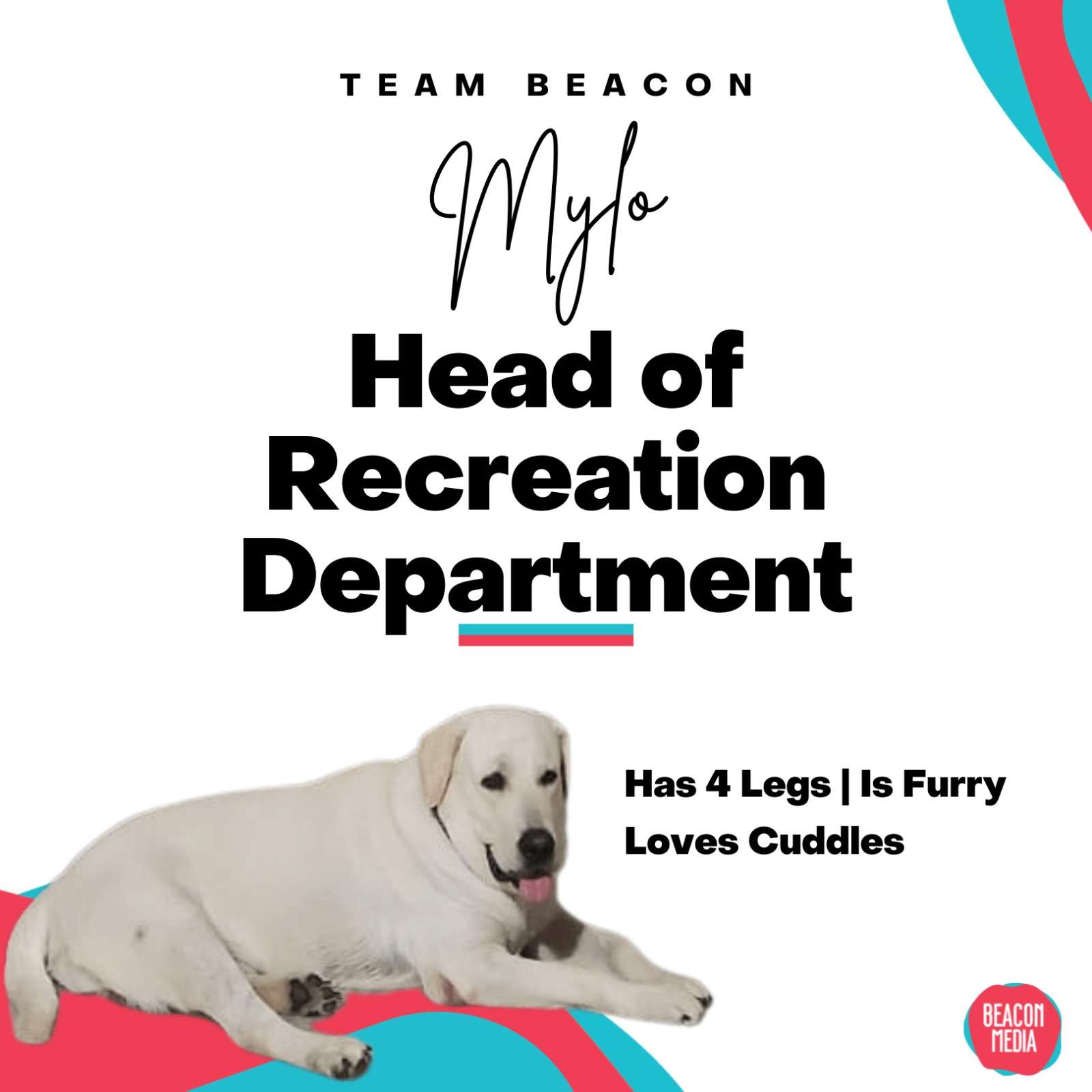 beaconmedia-leader-img